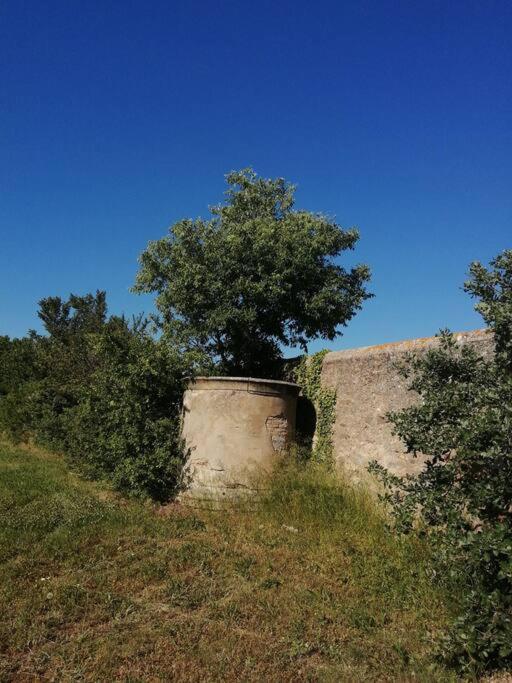 Le Soleil D Eugenie Appartement Dans Residence Avec Piscine Commune Pres De Carcassonne Olonzac 외부 사진