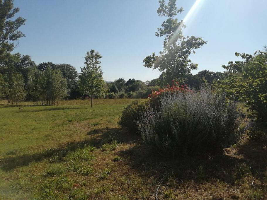 Le Soleil D Eugenie Appartement Dans Residence Avec Piscine Commune Pres De Carcassonne Olonzac 외부 사진
