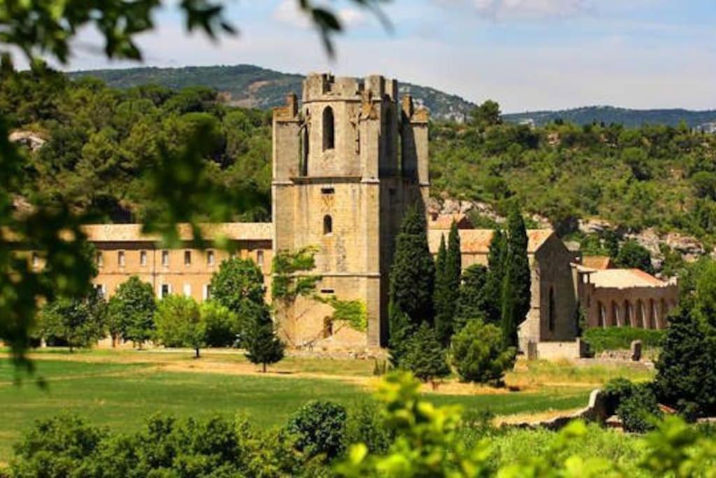 Le Soleil D Eugenie Appartement Dans Residence Avec Piscine Commune Pres De Carcassonne Olonzac 외부 사진