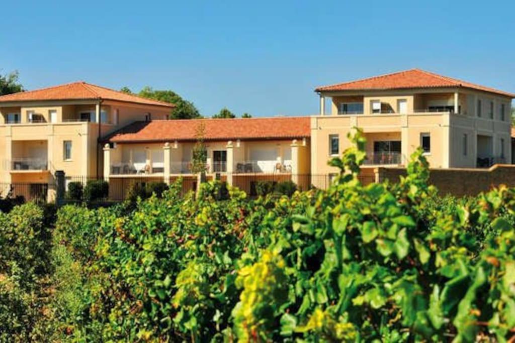 Le Soleil D Eugenie Appartement Dans Residence Avec Piscine Commune Pres De Carcassonne Olonzac 외부 사진