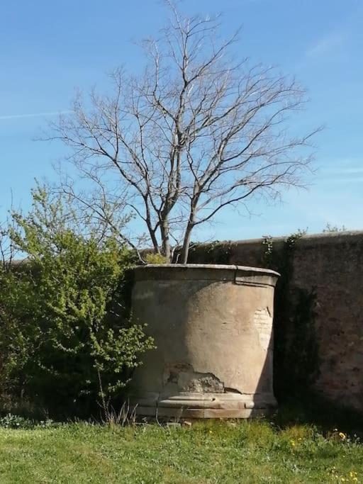 Le Soleil D Eugenie Appartement Dans Residence Avec Piscine Commune Pres De Carcassonne Olonzac 외부 사진