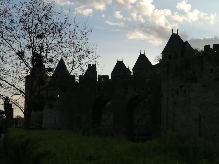 Le Soleil D Eugenie Appartement Dans Residence Avec Piscine Commune Pres De Carcassonne Olonzac 외부 사진