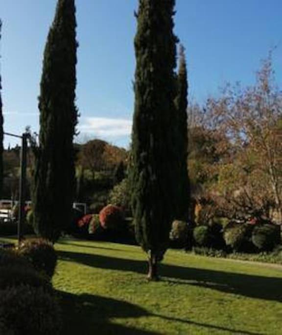 Le Soleil D Eugenie Appartement Dans Residence Avec Piscine Commune Pres De Carcassonne Olonzac 외부 사진