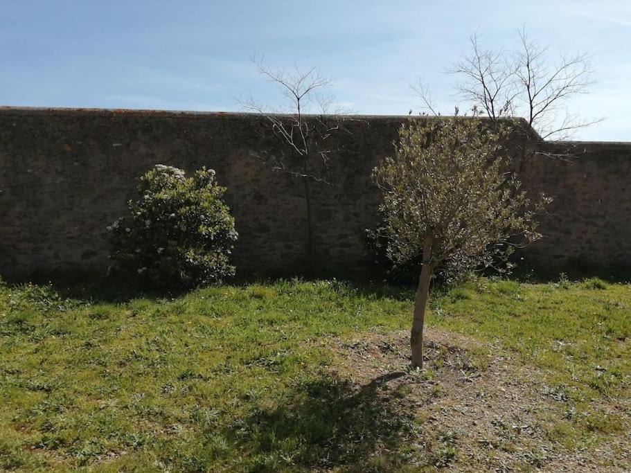 Le Soleil D Eugenie Appartement Dans Residence Avec Piscine Commune Pres De Carcassonne Olonzac 외부 사진